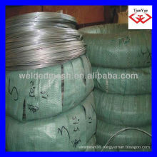 hot dipped/electro galvanized steel wire (good Factory )